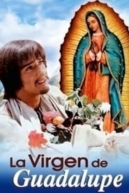 Our Lady of Guadalupe