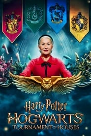 Harry Potter: Hogwarts Tournament of Houses